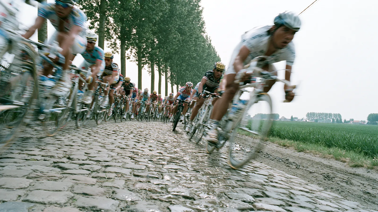 Peloton cycliste sur les pavés flamands